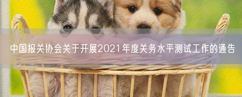 中国报关协会关于开展2021年度关务水平测试工作的通告